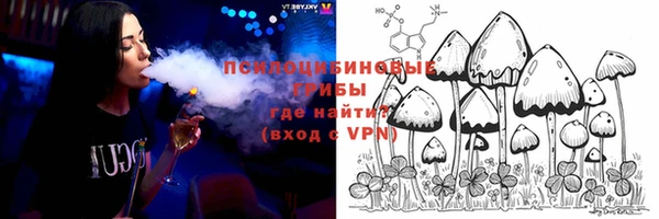 мдпв Алагир