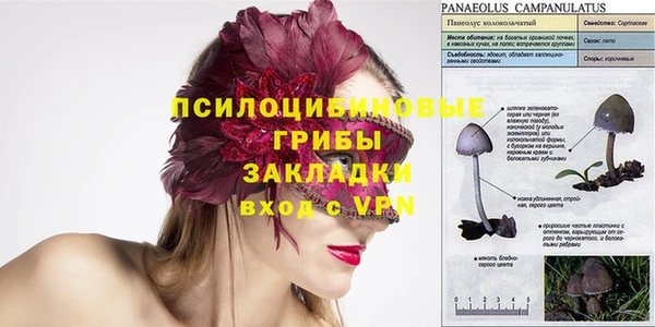 СК Михайловка