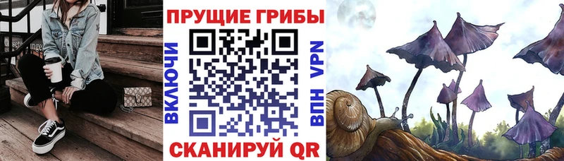 мега ONION  Ханты-Мансийск  нарко площадка состав  где купить наркоту  Псилоцибиновые грибы Magic Shrooms 
